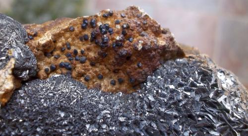 Pirolusita, Fluorapatito (Grupo Apatito) y goethita pseudomórfica de siderita<br />Sierra del Aljibe, Aliseda, Comarca Tajo-Salor Almonte, Cáceres, Extremadura, España<br />7 x 7 cm<br /> (Autor: Cristalino)