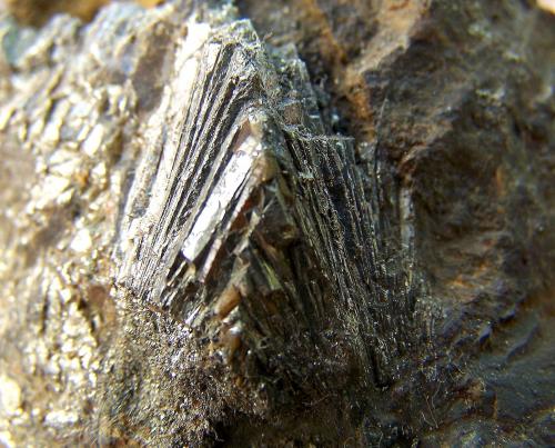Marcasita<br />La Puente Chica Mine, La Alameda de Gardón, Comarca Campo de Argañán, Salamanca, Castile and León, Spain<br />8 x 8 cm. (detalle)<br /> (Autor: canada)