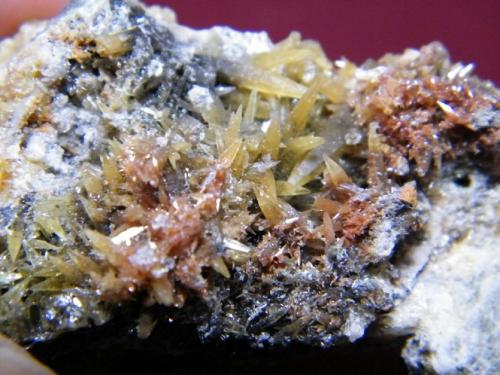 Mimetite<br />Tsumeb Mine, Tsumeb, Otjikoto Region, Namibia<br />75x35mm<br /> (Author: Heimo Hellwig)