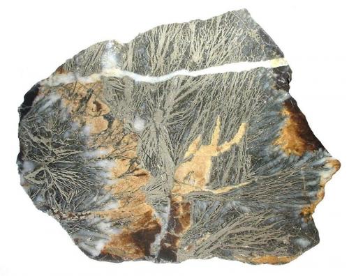 Pyrite<br />Mina Pfaffenberg, Neudorf, Distrito minero Harzgerode, Harz, Sajonia-Anhalt/Sachsen-Anhalt, Alemania<br />13,5 x 11 cm<br /> (Author: Andreas Gerstenberg)