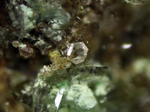 Caracolite<br />La Compañía Mine, Caracoles, Sierra Gorda District, Tocopilla Province, Antofagasta Region, Chile<br />FOV of 3.78mm. Crystal 0,29mm<br /> (Author: ofarcis)