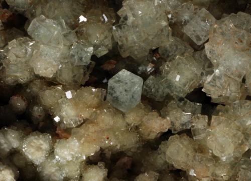 Boracite and Hilgardite<br />Boulby Mine, Loftus, Yorkshire, England / United Kingdom<br />FOV of 6.74mm. Crystal of 0.93mm<br /> (Author: ofarcis)