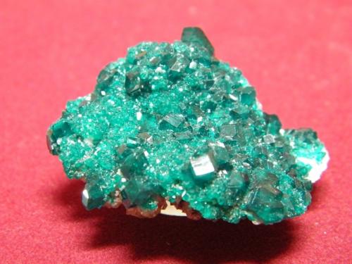 Dioptase<br />Tsumeb Mine, Tsumeb, Otjikoto Region, Namibia<br />50x40mm<br /> (Author: Heimo Hellwig)