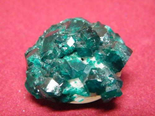 Dioptase<br />Tsumeb Mine, Tsumeb, Otjikoto Region, Namibia<br />35x30mm<br /> (Author: Heimo Hellwig)