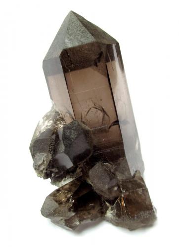 Quartz (var. smoky)<br />Göscheneralp, Valle Göschenen, Göschenen, Valle Reuss, Uri, Suiza<br />Specimen height 8 cm<br /> (Author: Tobi)