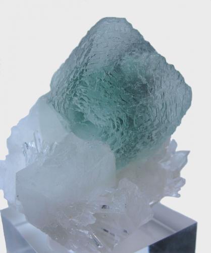 Fluorite, hübnerite, quartz
Huayllapon Mine (Huallapon Mine), Pasto Bueno District, Pallasca Province, Ancash Department, Peru
65 mm x 65 mm x 56 mm (Author: Carles Millan)