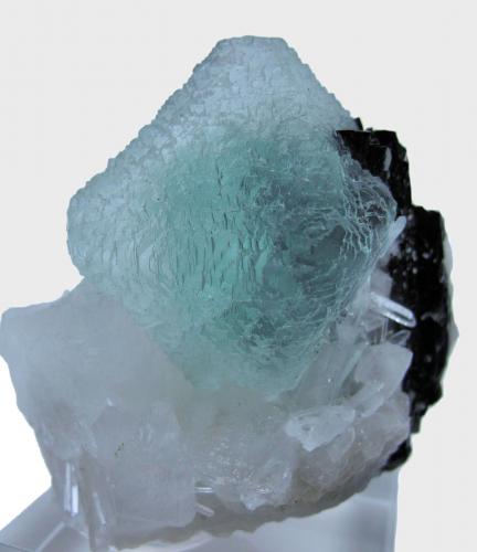 Fluorite, hübnerite, quartz
Huayllapon Mine (Huallapon Mine), Pasto Bueno District, Pallasca Province, Ancash Department, Peru
65 mm x 65 mm x 56 mm (Author: Carles Millan)