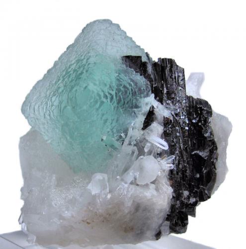 Fluorite, hübnerite, quartz
Huayllapon Mine (Huallapon Mine), Pasto Bueno District, Pallasca Province, Ancash Department, Peru
65 mm x 65 mm x 56 mm (Author: Carles Millan)