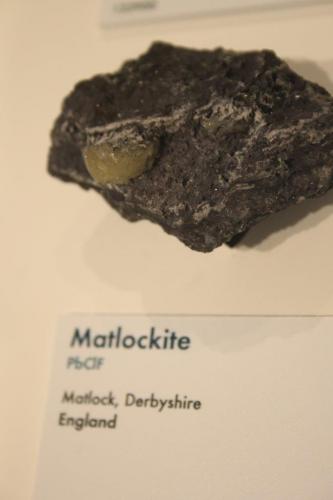 Matlockite
Matlock, Derbyshire, England, UK
About 15cm long
In the Harvard museum (Author: James)