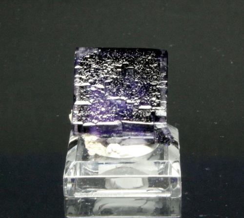 Fluorite
Stoneco Auglaize Quarry, Junction, Paulding Co., Ohio, USA
18 x 18 mm (Author: Don Lum)