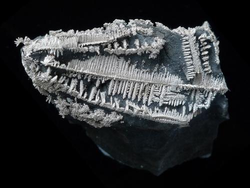 Native Silver
Pöhla-Tellerhäuser Mine, Pöhla, Schwarzenberg District, Erzgebirge, Saxony, Germany (Author: xdxucn)