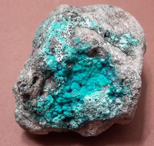 Chrysocolla
East Azarbaijan Province (East Azerbaijan Province), Iran
Size: 5 cm x 5 cm (Author: h.abbasi)