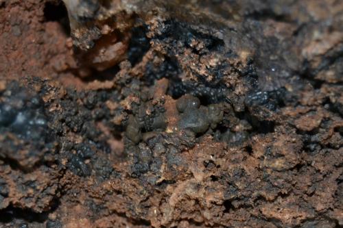 Goethite, limonite
Herdade da Granja Mine, Nossa Senhora da Conceição, Alandroal, Évora District, Portugal
FOV 4 x 3 cm (Author: Vitomorim)