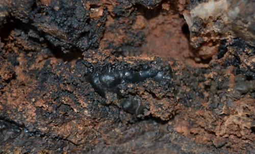 Goethite, limonite
Herdade da Granja Mine, Nossa Senhora da Conceição, Alandroal, Évora District, Portugal
FOV 7 x 4 cm (Author: Vitomorim)