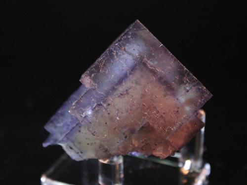 Fluorite
Illinois-Kentucky Fluorspar District, Hardin County, Illinois, USA
5.5 x 4.9 cm (Author: Don Lum)