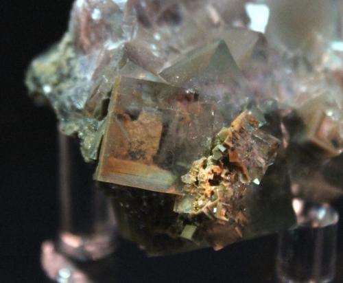 Fluorite
Yaogangxian Mine, Yaogangxian W-Sn ore field, Yizhang Co., Chenzhou Prefecture, Hunan Province, China
6 x 4.2 cm (Author: Don Lum)