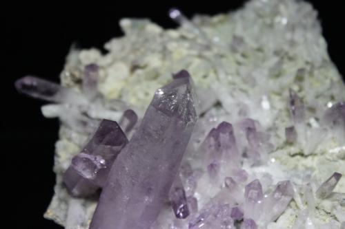 Quartz var amethyst
Piedra Parada (Las Vigas Mine), Tatatila, Veracruz de Ignacio de la Llave, Mexico
16.7 x 12.8 cm (Author: Don Lum)