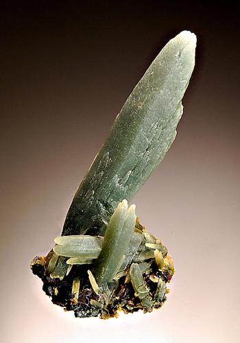 Quartz
Mega Horio, Serifos Island, Cyclade Islands, Kykládes Prefecture, Greece
3.5 x 6.5 cm
Tapered crystals of hedenbergite included quartz. (Author: crosstimber)