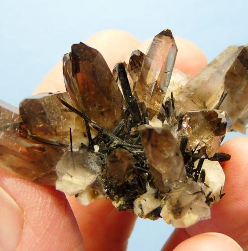 Quartz var. smoky, Aegirine and feldspar.
Mount Malosa, Zomba, Malawi.
65 x 38 x 33 mm
Same as above. (Author: Pierre Joubert)