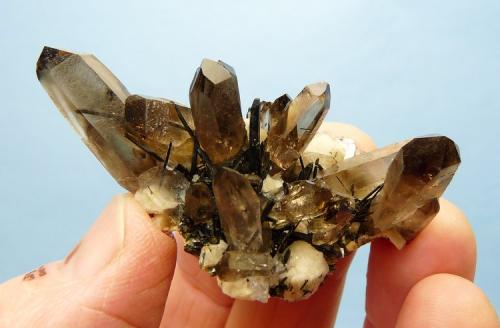 Quartz var. smoky, Aegirine and feldspar.
Mount Malosa, Zomba, Malawi.
65 x 38 x 33 mm
Same as above. (Author: Pierre Joubert)