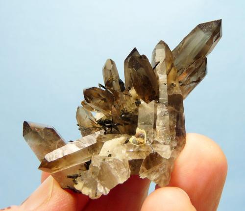 Quartz var. smoky, Aegirine and feldspar.
Mount Malosa, Zomba, Malawi.
65 x 38 x 33 mm (Author: Pierre Joubert)