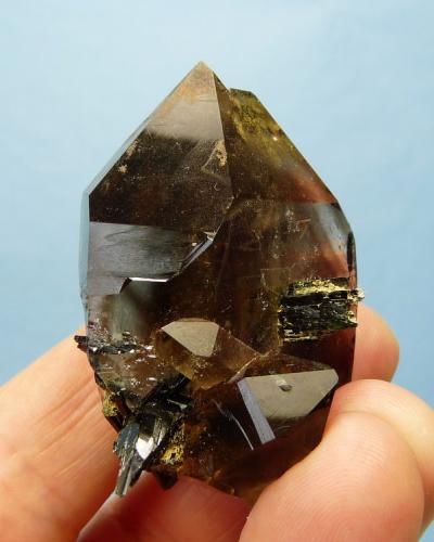 Quartz var. smoky and Aegirine
Mount Malosa, Zomba, Malawi.
57 x 40 x 36 mm (Author: Pierre Joubert)