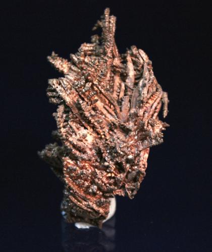 Copper
Phoenix Mine, Phoenix, Keweenaw County, Michigan, USA
5.0 x 3.0 cm (Author: Don Lum)