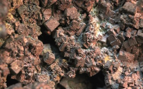 Copper
Cole Shaft, Bisbee, Warren District, Mule Mountains, Cochise County, Arizona, USA
7.0 x 6.0 cm
cubic copper crystals (Author: Don Lum)