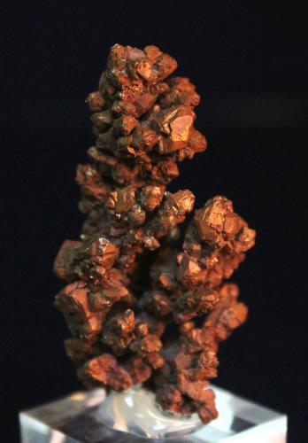 Copper, Cuprite
Rubtsovskoe Cu-Zn-Pb Deposit, Rudnyi Altai, Altaiskii Krai,  Western-Siberian Region, Russia
6.0 x 3.0 cm (Author: Don Lum)