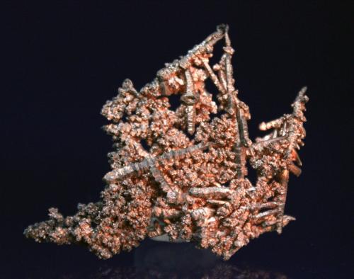 Copper
Ray Mine, Pinal County, Arizona, USA
5.3 x 4.0 cm (Author: Don Lum)