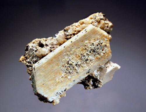 Orthoclase
Montecatini Quarry, Baveno, Piedmont, Italy
4.2 x 6.4 cm
A creamy tan Carlsbad-twinned orthoclase crystal on a granite matrix. (Author: crosstimber)