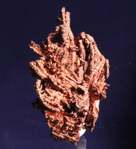 Copper
Phoenix Mine, Phoenix, Keweenaw County, Michigan, USA
5.0 x 3.0 cm (Author: Don Lum)