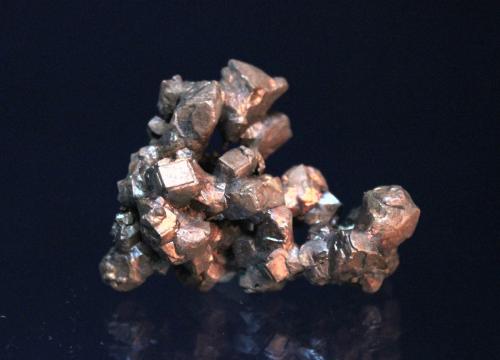 Copper
Ojibway Mine, Ojibway, Keweenaw County, Michigan, USA
4.3 x 3.3 cm (Author: Don Lum)