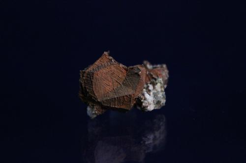 Copper
Central Mine, Central, Keweenaw County, Michigan, USA
3.5 x 2.5 cm
native copper twin
ex Sal Avella
ex Phil Scalisi (Author: Don Lum)
