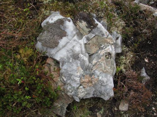 Pegmatite
Ben Loyal, Sutherland, Scotland
30cm across
Higher up the very steep ground near the top of the spur I was climbing, I came across a section of pegmatite I had seen before, seventeen years ago. This chunk of quartz with microcline var. amazonite was lying on the surface. I had a little dig in what was obviously a swelling in an otherwise narrow pegmatite vein, but did not find much worth collecting. Most of the microcline was pink. (Author: Mike Wood)