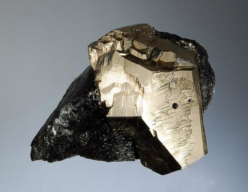 Pyrite
Valle Giove Stope, Rio Mine, Rio Marina, Elba Island, Livorno Prov., Tuscany, Italy
5.2 x 6.3 cm
Bright metallic pyritohedral pyrite crystal associated with lustrous black specular hematite and minor sphalerite. (Author: crosstimber)