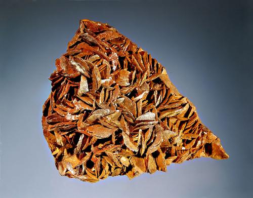 Siderite
Brosso Mine, Calea, Lessolo, Torino Prov., Lombardy, Italy
6.0 x 7.8 cm
Lenticular brown siderite crystals from the Geriniere Level of the mine. There are bladed, metallic black hematite crystals on the reverse side. (Author: crosstimber)