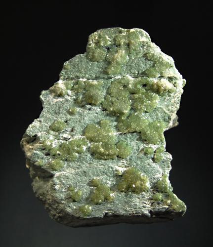 Andradite var. demantoid
Ciappanico Mine, Malenco Valley, Sondrio Prov., Lombardy, Italy
7.5 x 8.5 cm.
Pale green demantoid crystals scattered over the top surface of a green serpentine matrix. (Author: crosstimber)