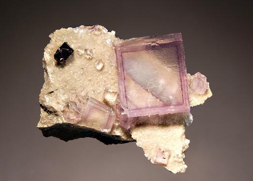 Fluorite
Elmwood, Carthage, Smith Co., Tennessee, USA
5.2 x 6.4 cm
Pale purple, zoned fluorite with a small dark brown sphalerite crystal on dolomitic limestone. (Author: crosstimber)