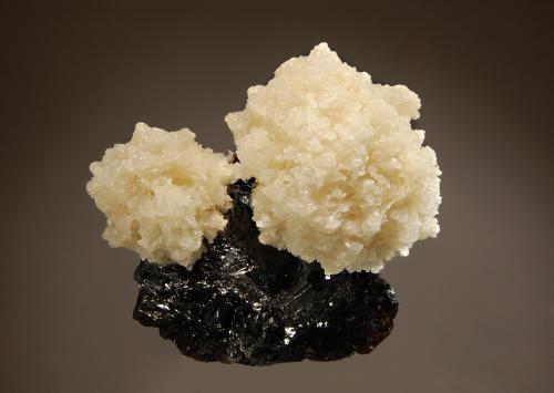 Barite on sphalerite
Elmwood, Carthage, Smith Co., Tennessee, USA
6.4 x 7.1 cm
Two spherical aggregates of creamy barite perched on lustrous brown sphalerite. (Author: crosstimber)