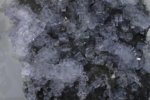 Fluorite
Emilio Mine, Loroñe, Obdulia vein, Colunga District, Caravia mining area, Asturias, Spain
Crystasl are up to 1.5 cm, view about 18 cm wide (Author: James)