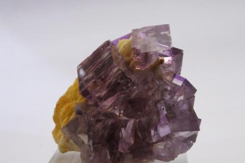 Fluorite, Barite
Berbes, Berbes Mining area, Ribadesella, Asturias, Spain
largest crystal is 1 x 1 cm (Author: James)