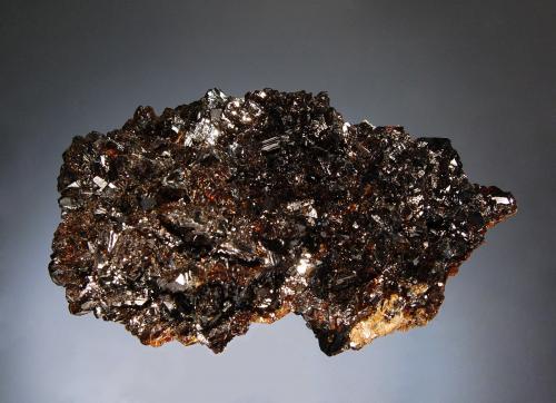 Sphalerite
Elmwood Mine, Carthage, Smith County, Tennessee, USA
7.7 x 11.1 cm
Lustrous dark brown sphalerite crystals with reddish highlights in transmitted light. (Author: crosstimber)