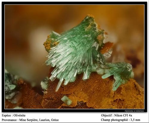 Olivenite
Serpieri Mine, Kamariza Mines, Agios Konstantinos, Lavrion, Attikí, Greece
fov 3.5 mm (Author: ploum)