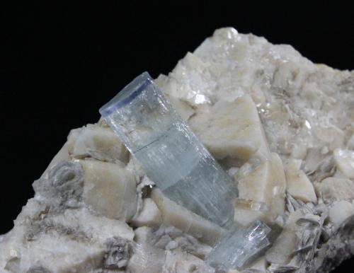 Beryl variety Aquamarine
Raikot (Raikoot), Chilas, Diamar District (Diamir District), Gilgit-Baltistan (Northern Areas), Pakistan
8.9 x  4.7 x 3.0 cm
Blue-cap aquamarine on twinned microcline (Author: Don Lum)