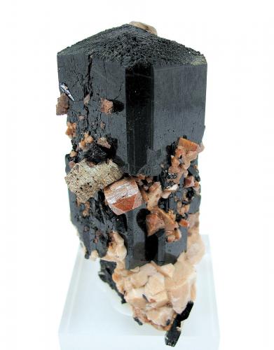 Aegirine, zircon, orthoclase, parisite-(Ce)
Mount Malosa, Zomba District, Malawi
82 mm x 66 mm. Main crystal: 82 mm tall, 32 mm wide (Author: Carles Millan)