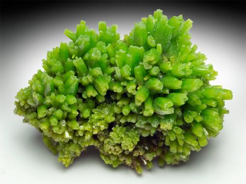 Pyromorphite
Same specimen, another side. (Author: xdxucn)