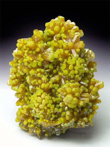 Pyromorphite
Les Farges Mine, Ussel, France
3.2 x 2.5 x 1.6 cm (Author: xdxucn)