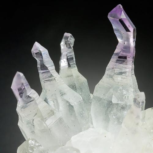 Quartz (variety amethyst)
Goboboseb Mts, Brandberg area, Erongo Region, Namibia
45 x 25 x 20 mm, largest crystal size: 30 mm (Author: xdxucn)