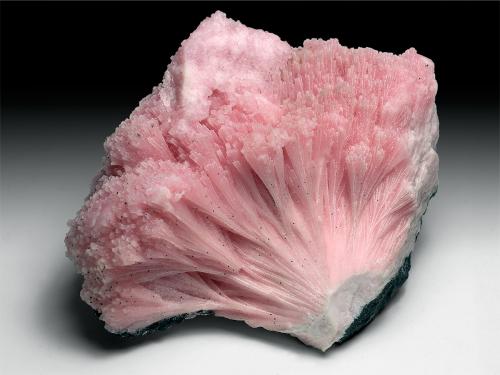 Kutnohorite
Wessels Mine, North Cape Province, South Africa
75 x 60 x 37 mm
 (Author: xdxucn)